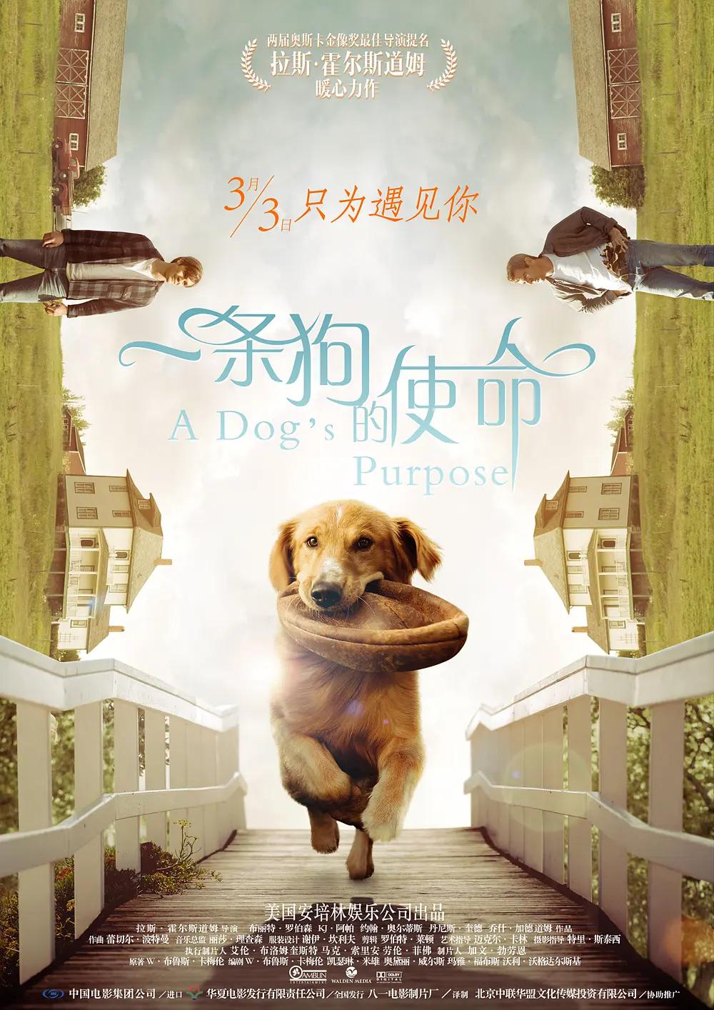 野外啪啪啪(🐹)
