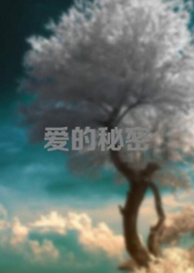 爱的秘密2012