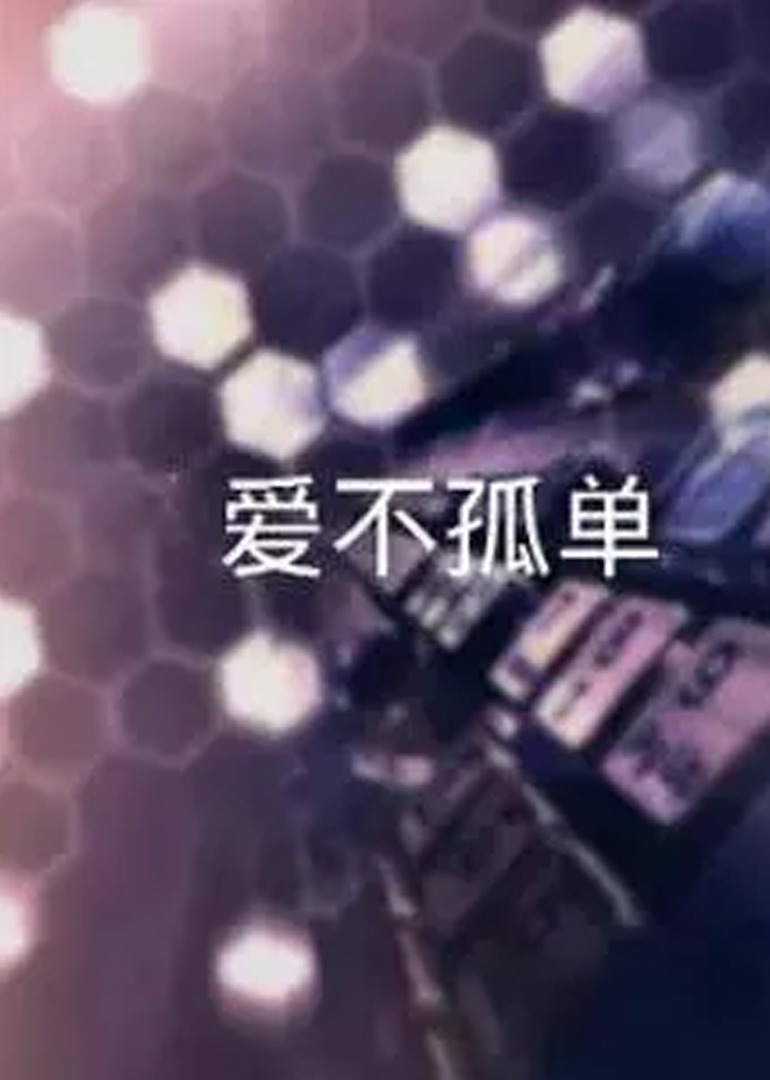 爱不孤单2016